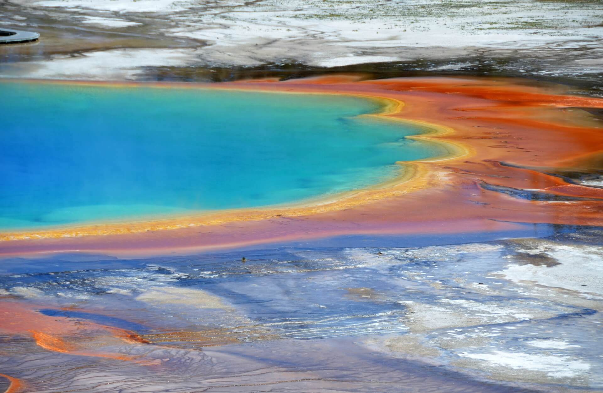 La razón de los bellos colores presentes en las calderas de Yellowstone